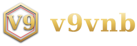 v9vnb logo